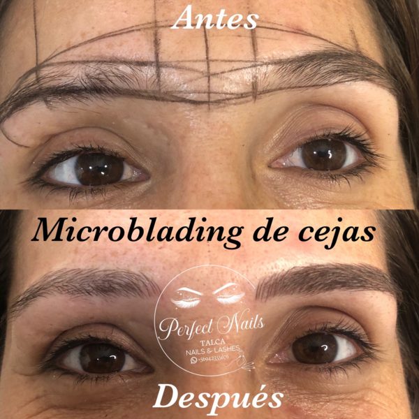 Microblading cejas + retoque