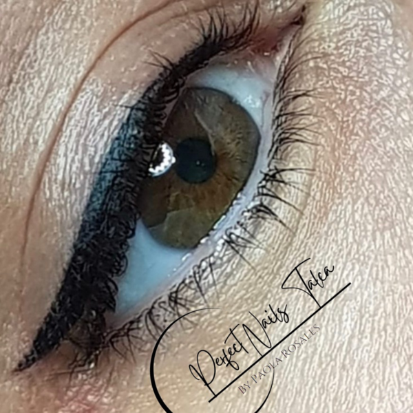 Micropigmentación ojos + retoque