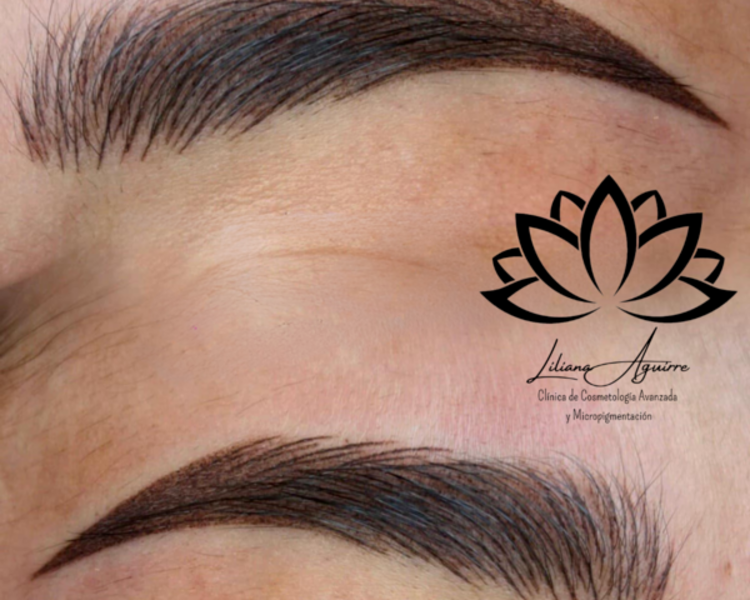 Sexy Brows (micropigmentacion de cejas)