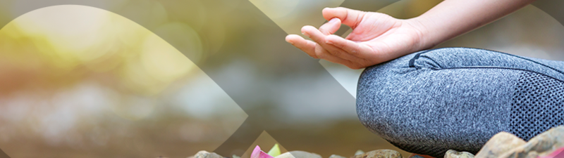 Cuatro Cuatro Wellness Center banner