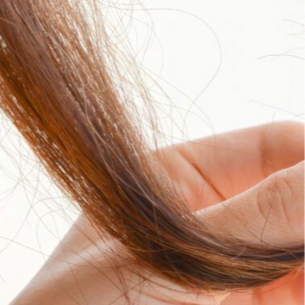 Corte bordado (con mascarilla) 