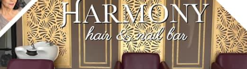 HARMONY hair & nail bar banner