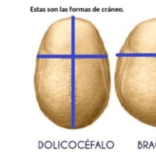 1. Corte cabello  (Con o sin asesoria) 