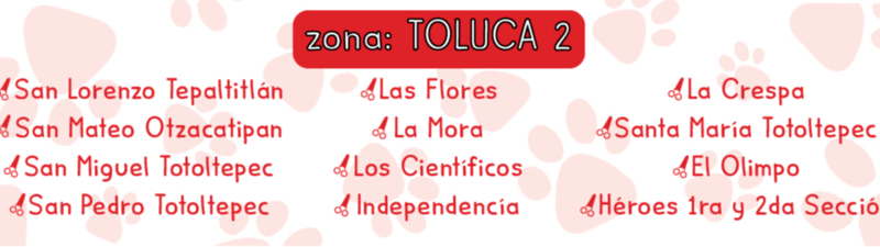 Estética Canina Kroketas  banner