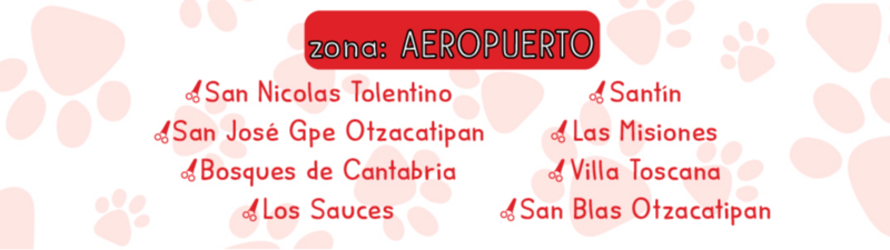 Estética Canina Kroketas  banner