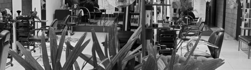 De La Cruz Styling Expert interior