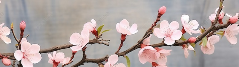 624 Beauty Lounge banner