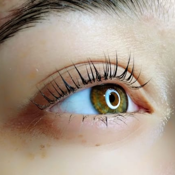 Laminado de cejas (no incluye perfilado de cejas)