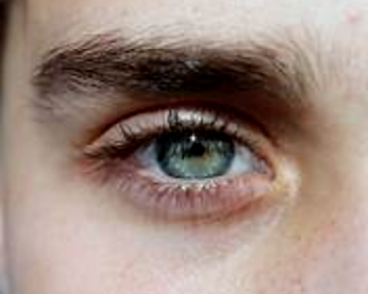 Dermoterapia (restaurador de cejas) con Lorena