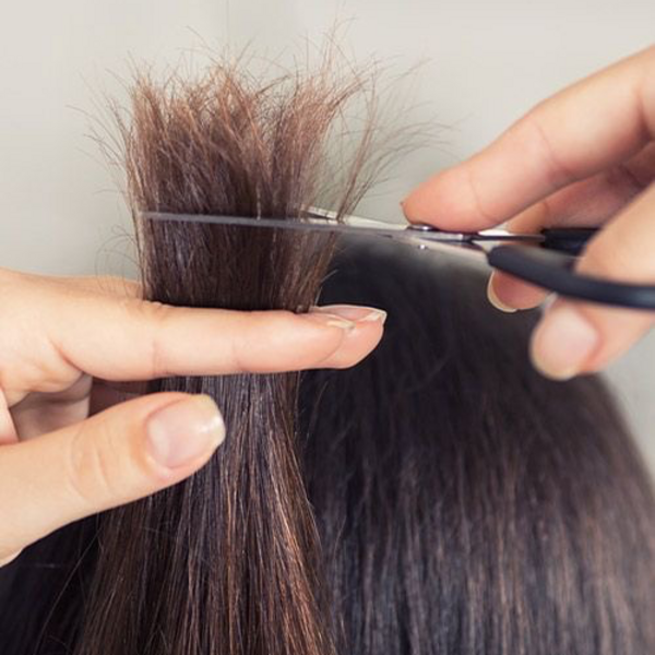 CORTE DE PUNTAS
