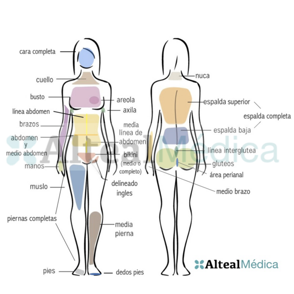 ABDOMEN COMPLETO (1 sesión) Depilación Láser Diodo