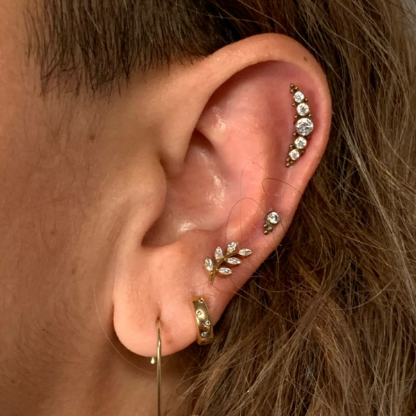 Perforación Lóbulo, Helix, Conch, Rook, Tragus, Ceja, Labio superior o inferior