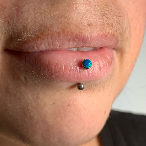 Perforación Lóbulo, Helix, Conch, Rook, Tragus, Ceja, Labio superior o inferior