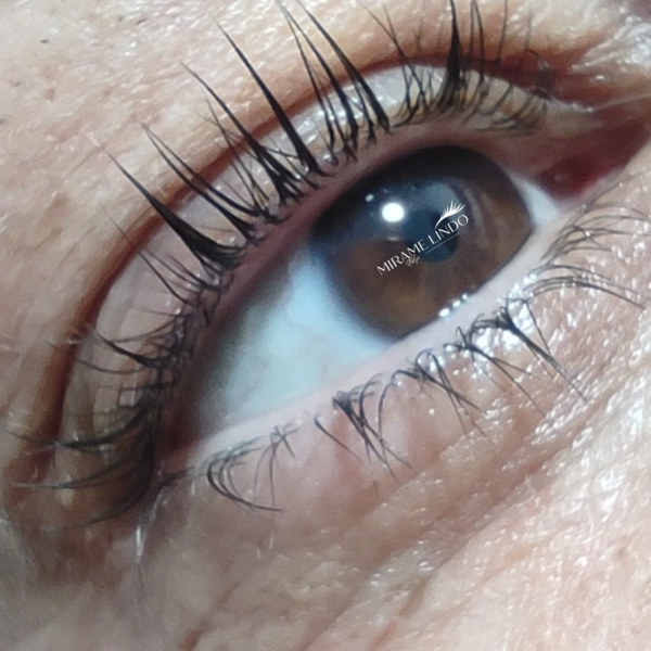 Lifting de pestañas + tinte + nutricion