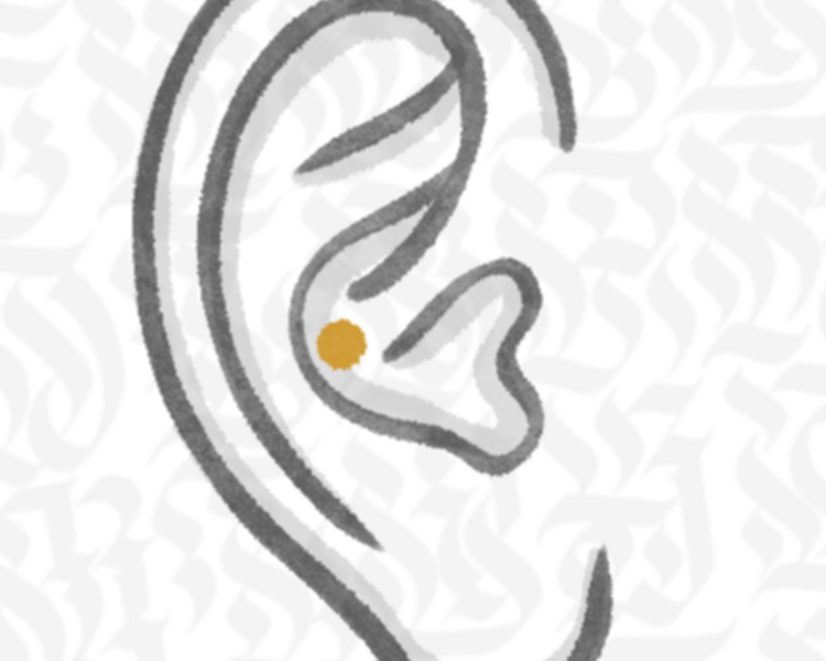 Conch Piercing
