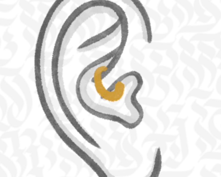 Daith Piercing