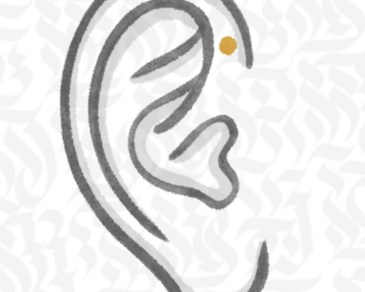 Forward Helix Piercing