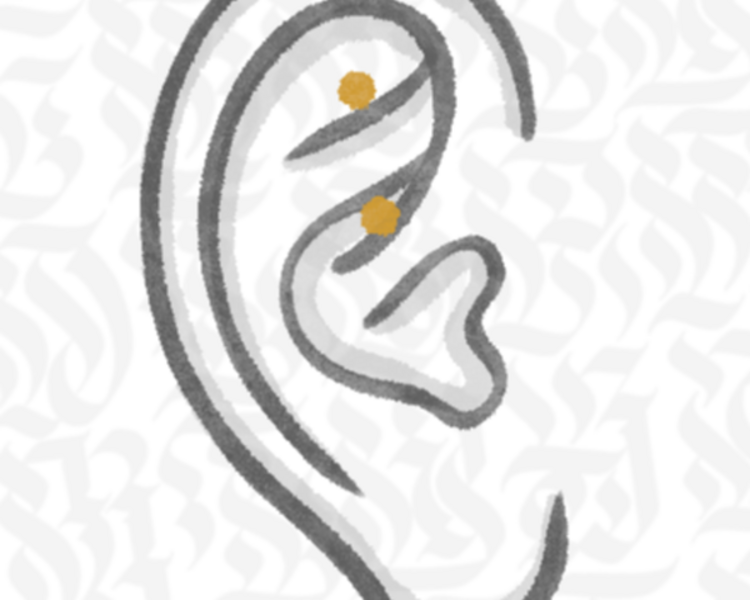 Rook Piercing