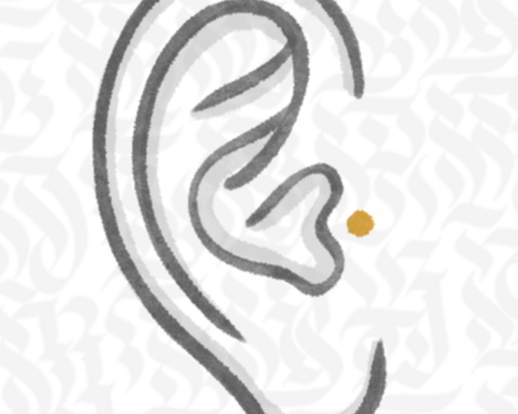 Tragus Piercing