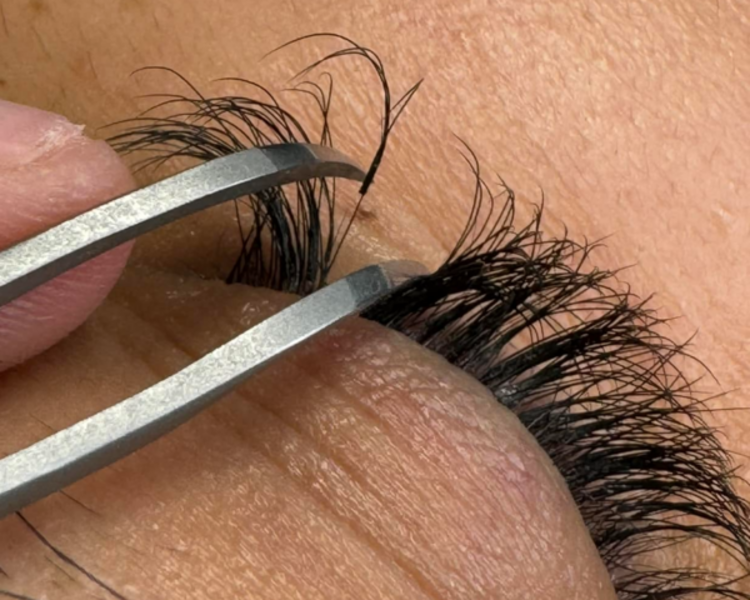 MTTO VOLUMEN ARTESANAL 3-6D (2 semanas)