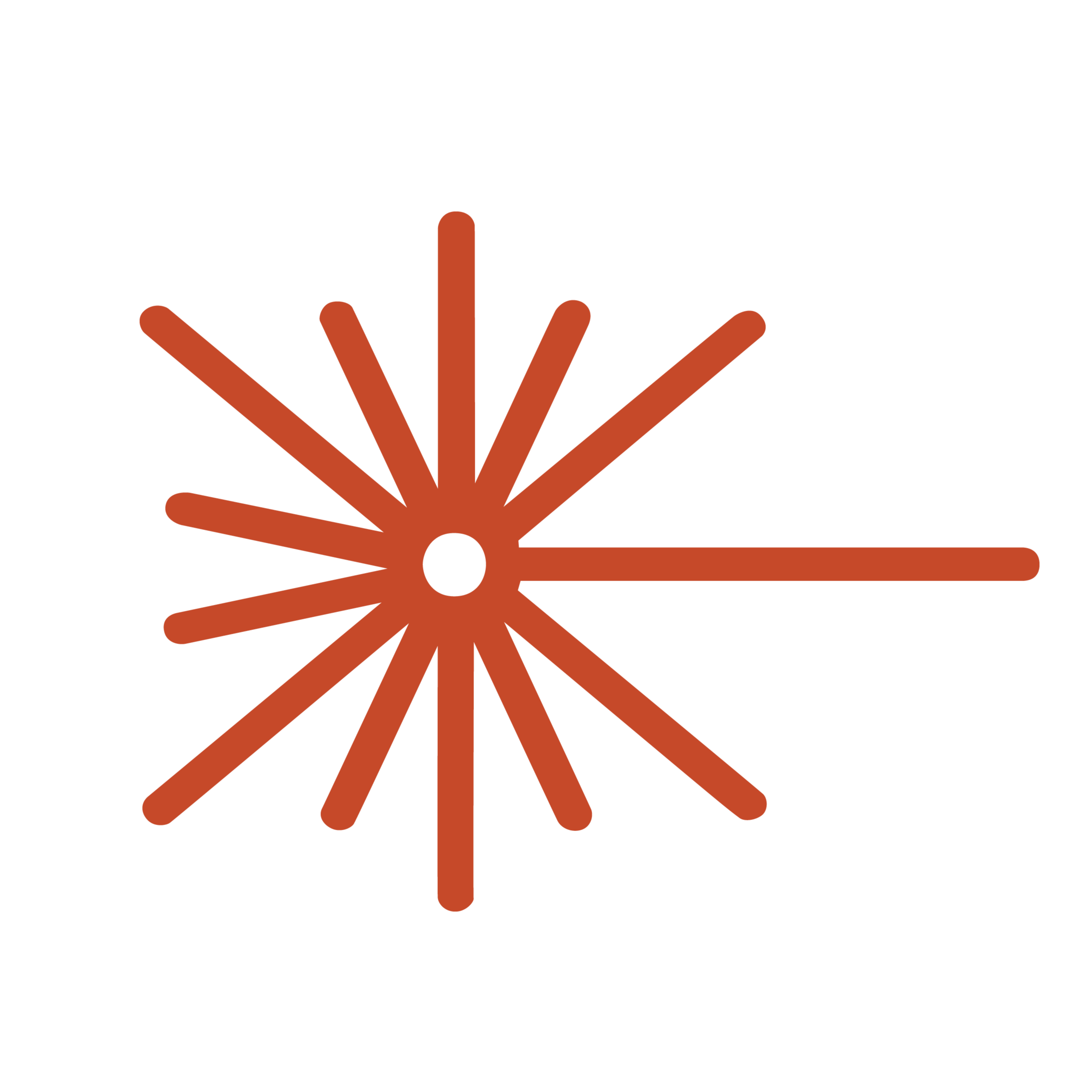 Luma estudio fotografico