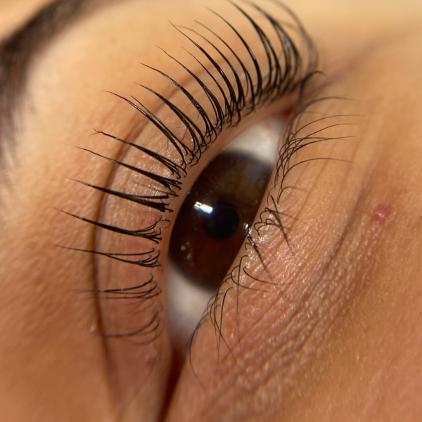 Lifting de Pestañas full