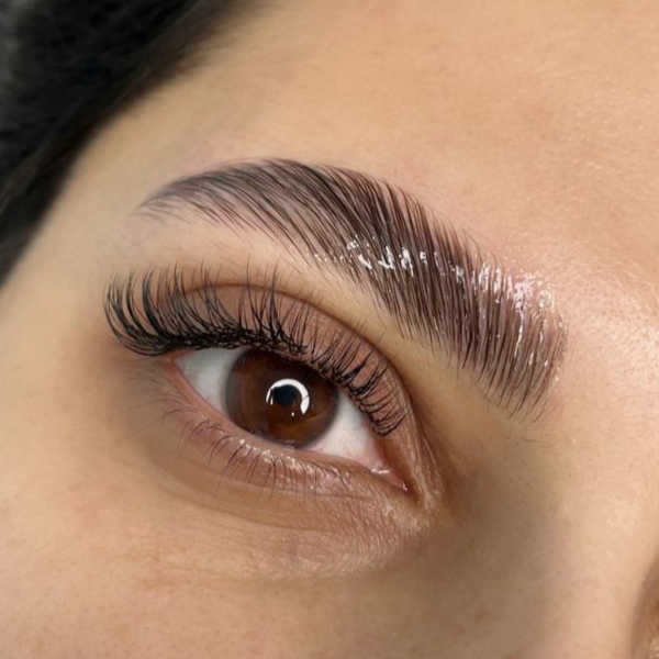 Curso Intensivo Diseño de Cejas 7 en 1