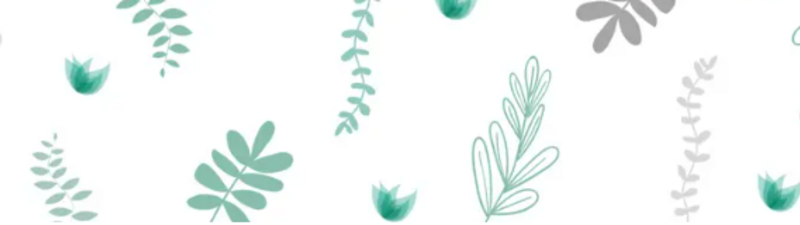 Alma Medicina estética, funcional y regenerativa banner