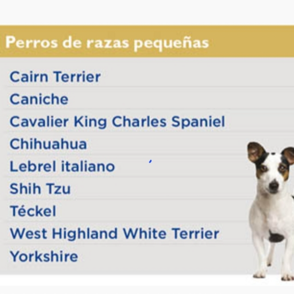 BAÑO PERRITOS PEQUEÑOS 1-10 Kgs. / REÑACA - JARDIN DEL MAR - LOS ALMENDROS