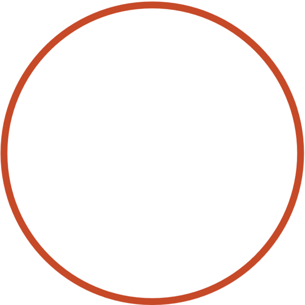 Sesión fotográfica sin fotografo | El Fondo Blanco - 45 min