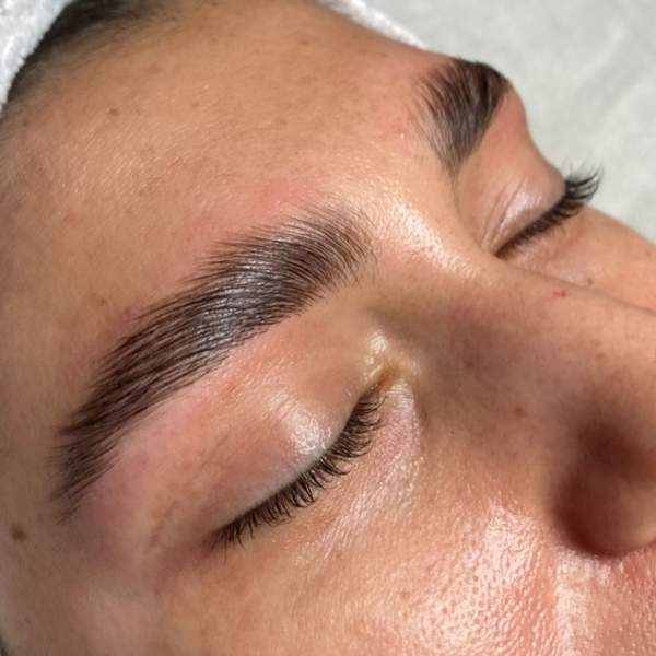 Diseño y Perfilado + Laminado de Cejas