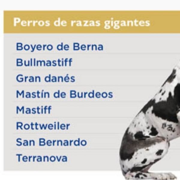 BAÑO PERRO GIGANTE - 40 kgs o más. / REÑACA - JARDIN DEL MAR - LOS ALMENDROS