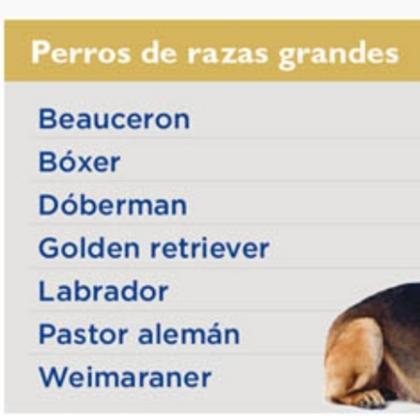 BAÑO PERRO GRANDE - 25 A 40 kgs. /REÑACA - JARDIN DEL MAR - LOS ALMENDROS