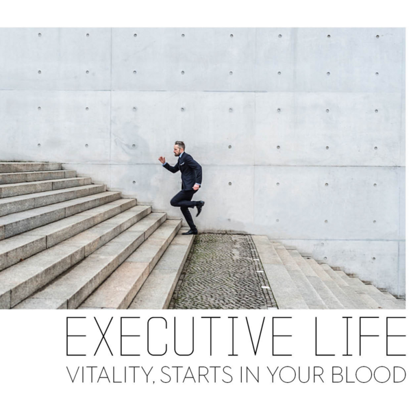 Executive Life/ Vida Ejecutiva