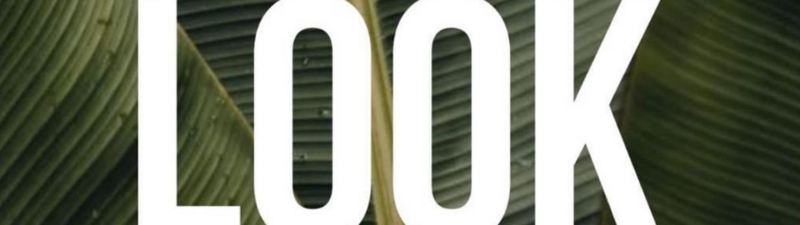 LOOK TALLER DEL CABELLO politica de precios 3 meses congelados, politica de calidad.  banner