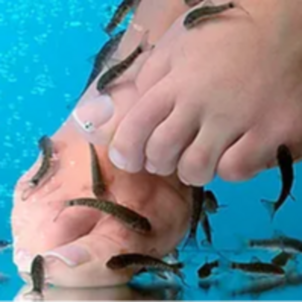 Terapia de Peces 2x1