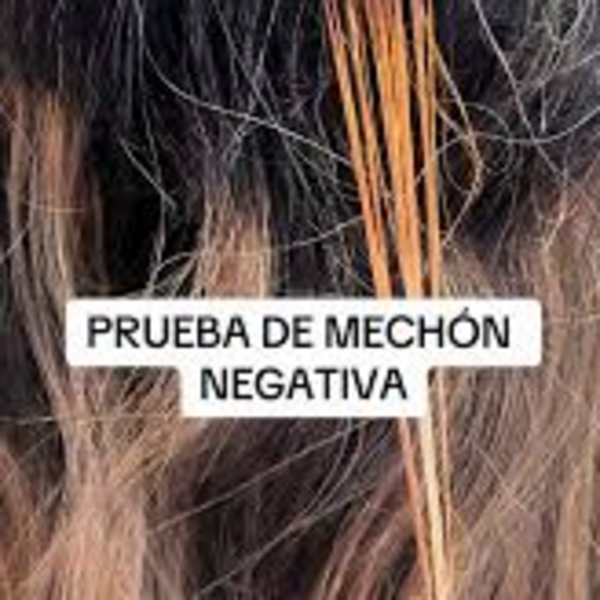 Prueba de Mechón