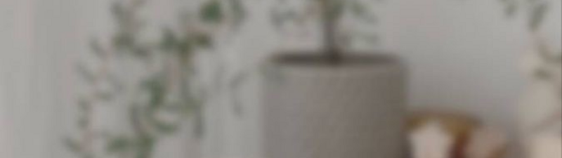 Afrodita Profiling banner
