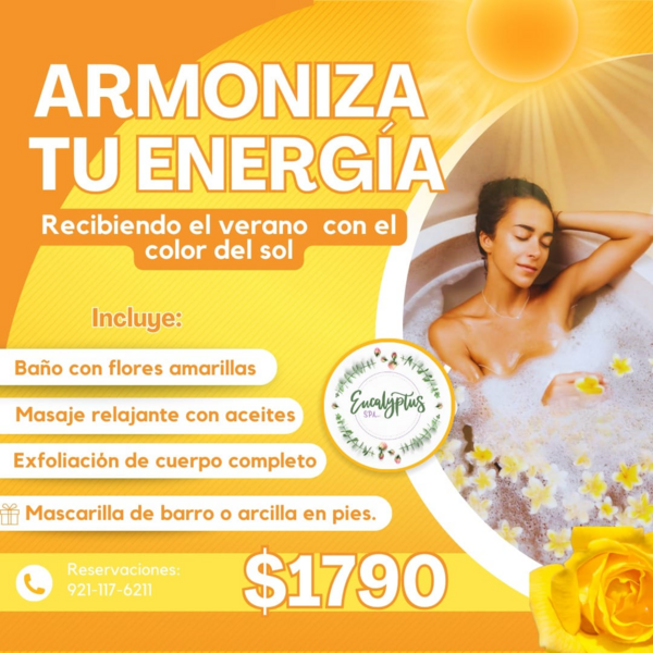 Armoniza tu energía 