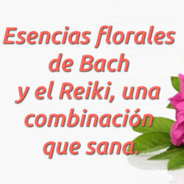 TERAPIA CUERPO Y MENTE (Reiki + Sonoterapia +  Flores de Bach)