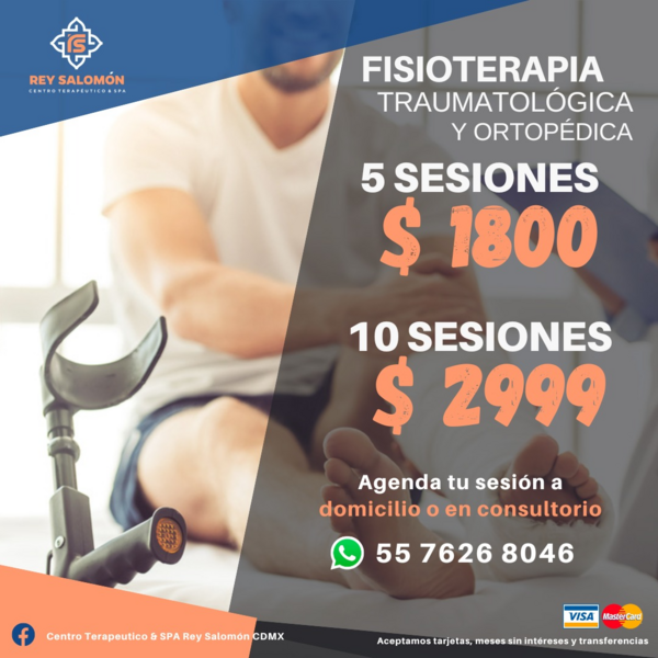 Fisioterapia habilitación y rehabilitación física funcional 