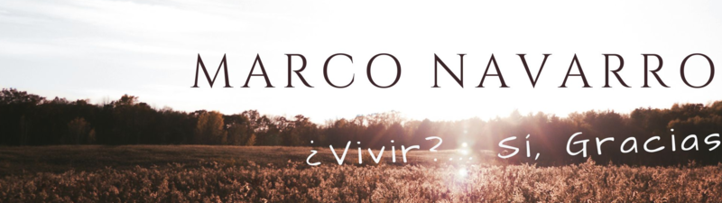 Marco Navarro banner