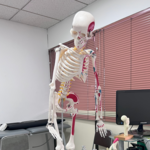 Evaluación Kinésica photo