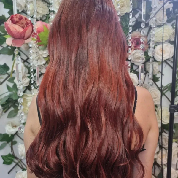 Color Extra Largo Completo Emparejar Desde