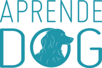 https://dcx13p9dsx90t.cloudfront.net/uploads/logos/logo_23542a3f29914ac6.png logo