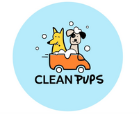 https://dcx13p9dsx90t.cloudfront.net/uploads/logos/logo_80d61475217820ff.png logo