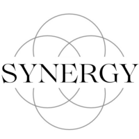 Synergy SpA logo