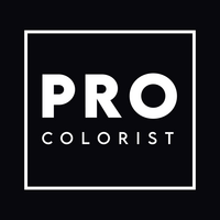 PRO Colorist LAS CONDES  logo