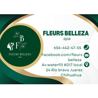 FLEUR BELLEZA  logo