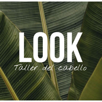LOOK TALLER DEL CABELLO politica de precios 3 meses congelados, politica de calidad.  logo